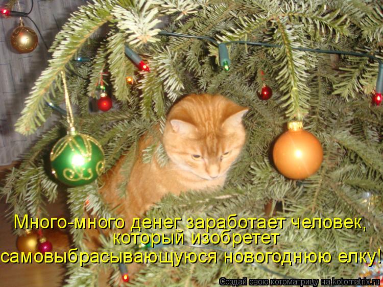 Котоматрица: Много-много денег заработает человек, который изобретет  самовыбрасывающуюся новогоднюю елку!