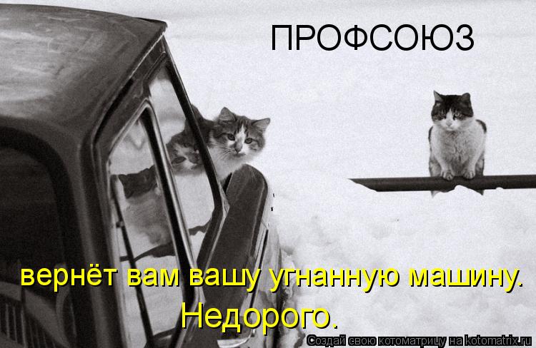 Котоматрица: ПРОФСОЮЗ  вернёт вам вашу угнанную машину.  Недорого.
