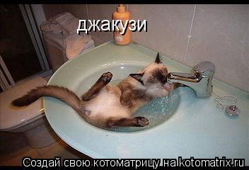 Котоматрица: джакузи