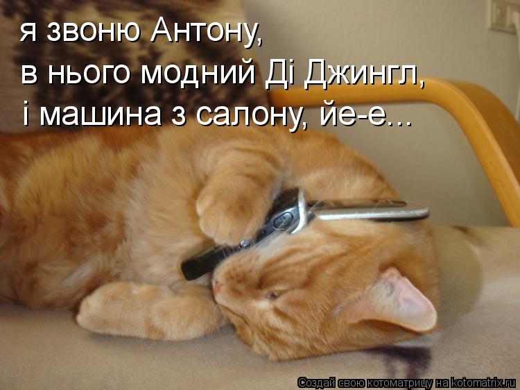 Котоматрица: я звоню Антону, i машина з салону, йе-е... в нього модний Дi Джингл,