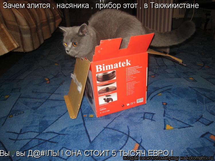 Зачем злится , насяника , прибор этот , в Такжикистане Вы , вы Д@#!ЛЫ ! ОНА СТОИТ 5 ТЫСЯЧ ЕВРО !... Котоматрица: Зачем злится , насяника , прибор этот , в Такжикистане Вы , вы Д@#!ЛЫ ! ОНА СТОИТ 5 ТЫСЯЧ ЕВРО !