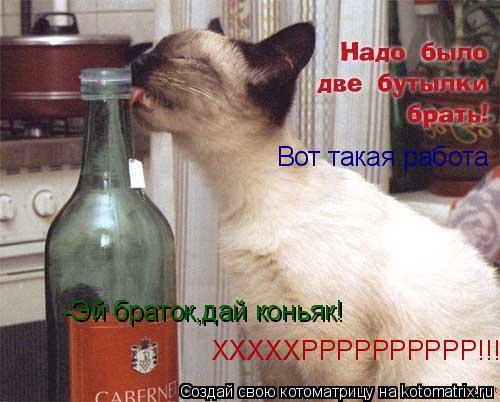 Котоматрица: Вот такая работа -Эй браток,дай коньяк! ХХХХХРРРРРРРРРР!!!