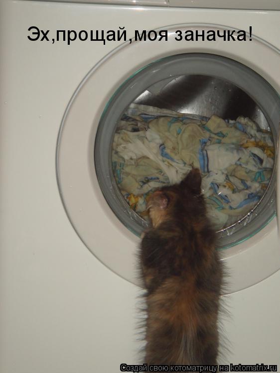 Котоматрица: Эх,прощай,моя заначка!