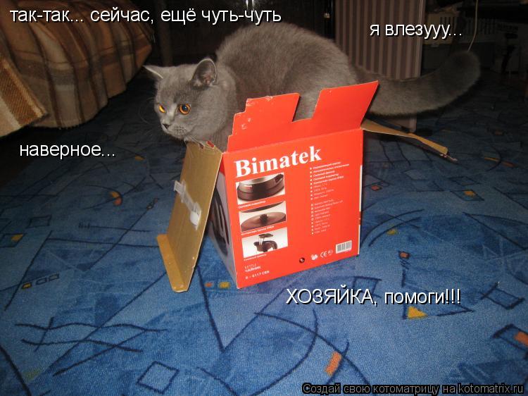 Котоматрица: так-так... сейчас, ещё чуть-чуть я влезууу... наверное... ХОЗЯЙКА, помоги!!!