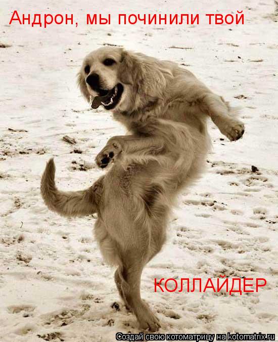 Котоматрица: Андрон, мы починили твой КОЛЛАЙДЕР