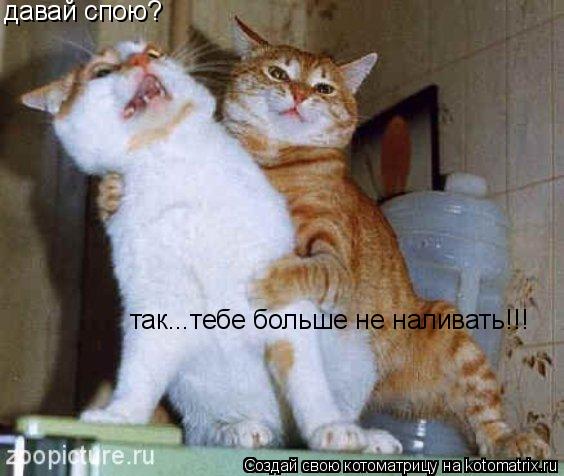 Котоматрица: давай спою? так...тебе больше не наливать!!!