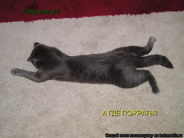 Котоматрица: Лежу,лежу!!! А ГДЕ ПОЖРАТЬ?