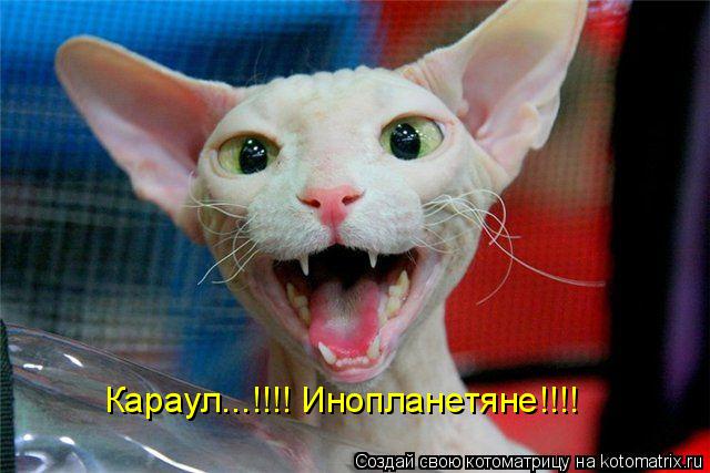 Котоматрица: Караул...!!!! Инопланетяне!!!!
