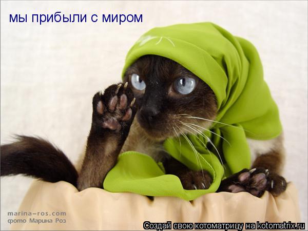 мы прибыли с миром... Котоматрица: мы прибыли с миром