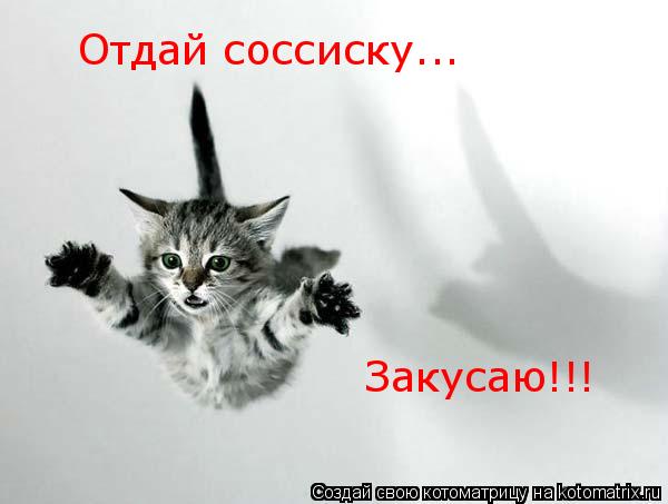 Котоматрица: Закусаю!!! Отдай соссиску...