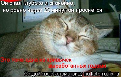 Котоматрица: Он спал глубоко и спокойно,  но ровно через 20 минут он проснется Это тоже одна из привычек, выработанных годами выработанных годами