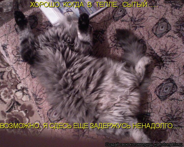 Котоматрица: ХОРОШО, КОГДА  В  ТЕПЛЕ,  СЫТЫЙ...... ВОЗМОЖНО, Я СДЕСЬ ЕЩЕ ЗАДЕРЖУСЬ НЕНАДОЛГО....