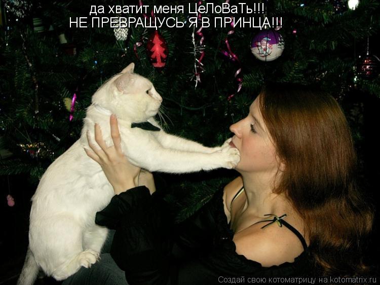 Котоматрица: НЕ ПРЕВРАЩУСЬ Я В ПРИНЦА!!! да хватит меня ЦеЛоВаТь!!!