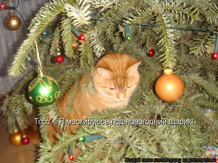 Котоматрица: Тссс... Я маскируюсь под новогодний шарик!