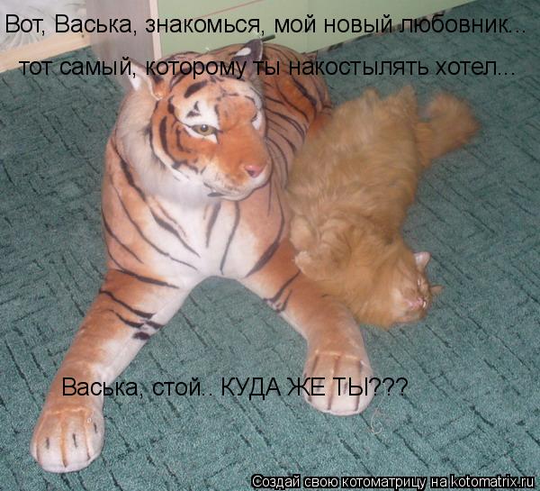 Котоматрица: Васька, стой.. КУДА ЖЕ ТЫ??? тот самый, которому ты накостылять хотел... Вот, Васька, знакомься, мой новый любовник...