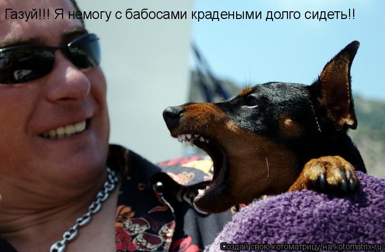 Котоматрица: Газуй!!! Я немогу с бабосами крадеными долго сидеть!!