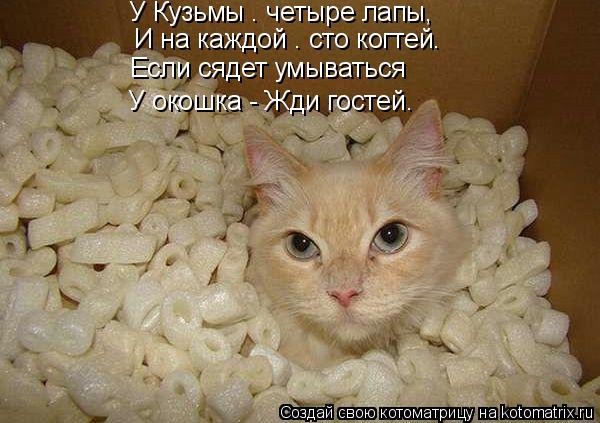 Котоматрица: У Кузьмы — четыре лапы, И на каждой — сто когтей. Если сядет умываться У окошка - Жди гостей.
