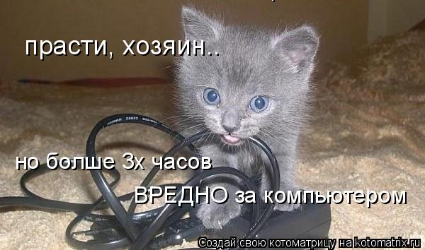 Котоматрица: прасти, хозяин.. но болше 3х часов  ВРЕДНО за компьютером