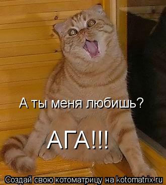 Котоматрица: А ты меня любишь? АГА!!!