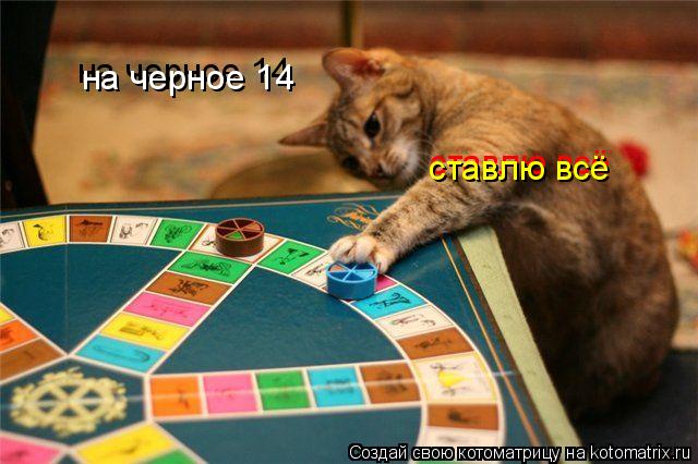 Котоматрица: на черное 14 на черное 14 ставлю всё ставлю всё