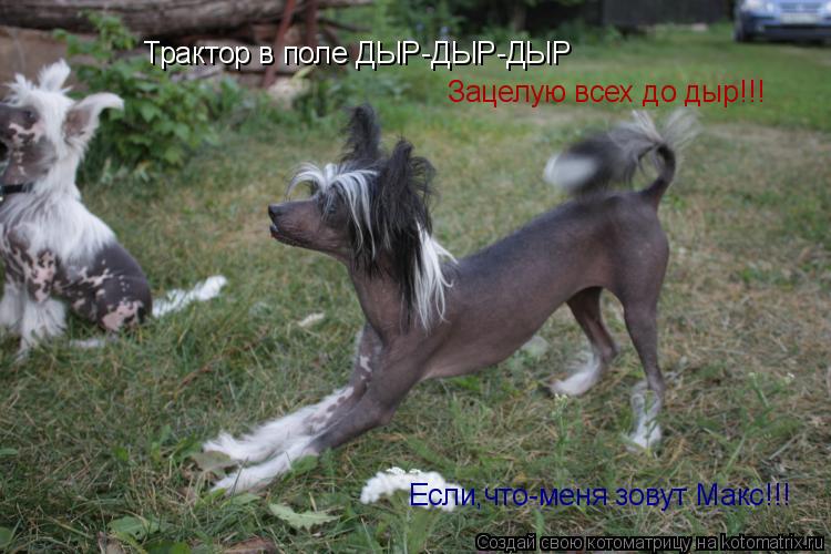 Котоматрица: Трактор в поле ДЫР-ДЫР-ДЫР Зацелую всех до дыр!!! Если,что-меня зовут Макс!!!