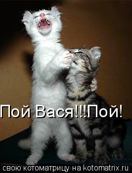 Котоматрица: Пой Вася!!!Пой!