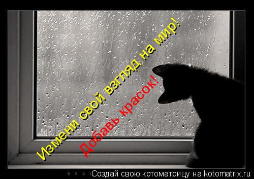Измени свой взгляд на мир! Добавь красок!... Котоматрица: Измени свой взгляд на мир! Добавь красок!