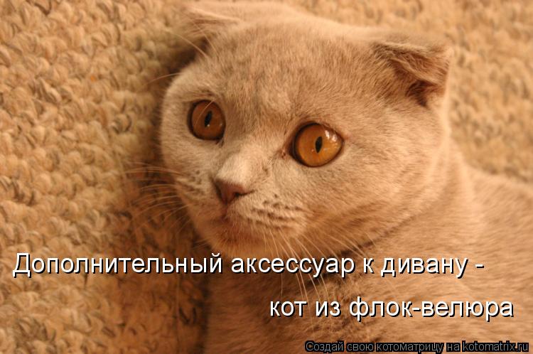 Котоматрица: Дополнительный аксессуар к дивану - кот из флок-велюра