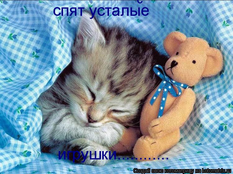 с спят усталые игрушки............... Котоматрица: с спят усталые игрушки............