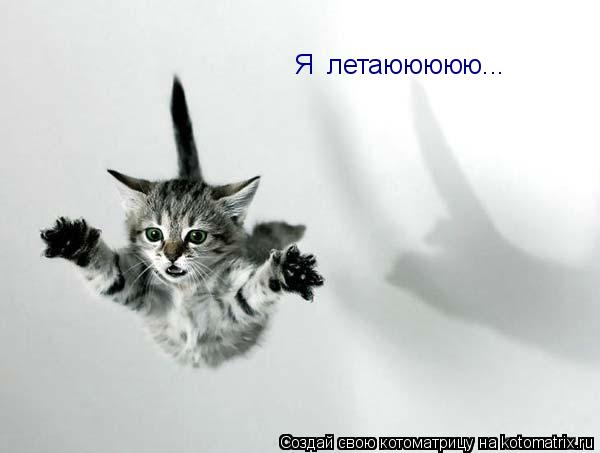 Котоматрица: Я  летаююююю...