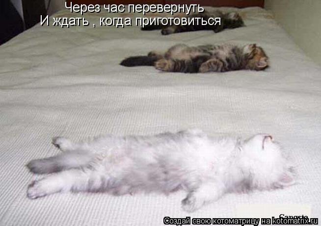 Через час перевернуть И ждать , когда приготовиться... Котоматрица: Через час перевернуть И ждать , когда приготовиться