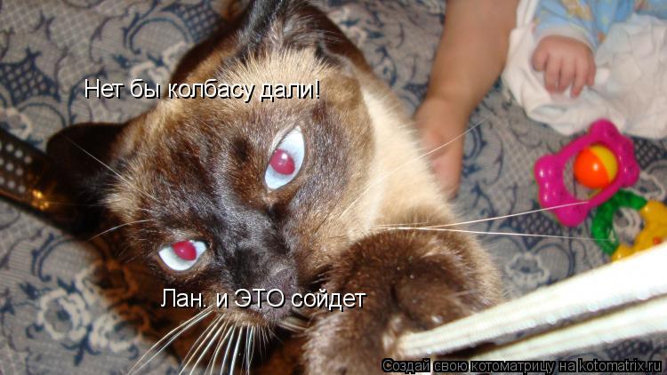 Нет бы колбасу дали! Лан. и ЭТО сойдет... Котоматрица: Нет бы колбасу дали! Лан. и ЭТО сойдет