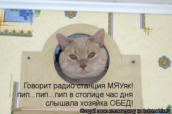 Котоматрица: Говорит радио станция МЯУяк! пип...пип...пип в столице час дня слышала хозяйка ОБЕД!