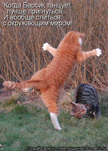 http://kotomatrix.ru/images/lolz/2009/01/12/MM.jpg