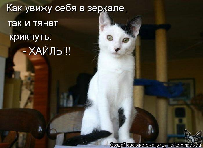Котоматрица: Как увижу себя в зеркале, так и тянет крикнуть: - ХАЙЛЬ!!!