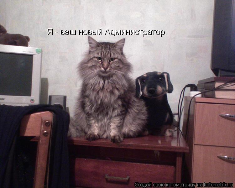 Котоматрица: Я - ваш новый Администратор.