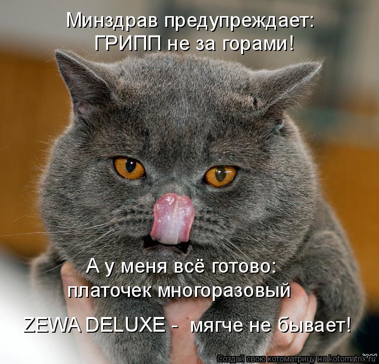 Котоматрица: Минздрав предупреждает:  ГРИПП не за горами! А у меня всё готово:  платочек многоразовый  ZEWA DELUXE -  мягче не бывает!