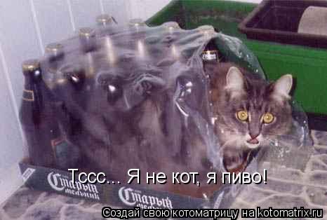 Котоматрица: Тссс... Я не кот, я пиво!