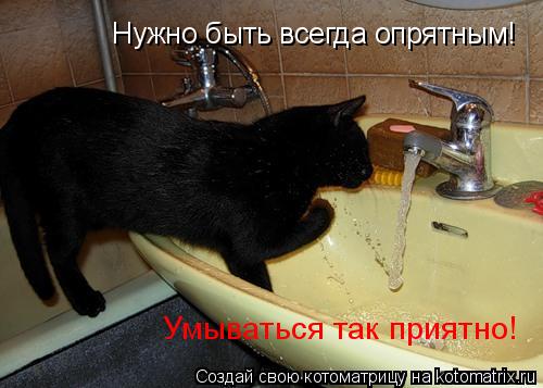 Котоматрица: Нужно быть всегда опрятным! Умываться так приятно!