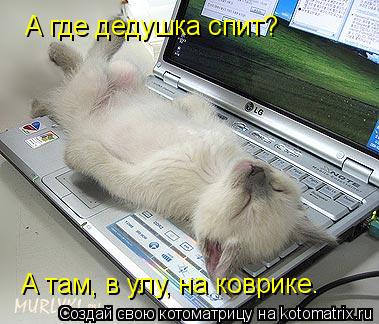 Котоматрица: А где дедушка спит? А там, у А там, в улу, на коврике.