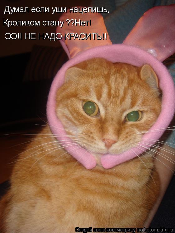 Котоматрица: Думал если уши нацепишь, Кроликом стану ??Нет! ЭЭ!! НЕ НАДО КРАСИТЬ!!