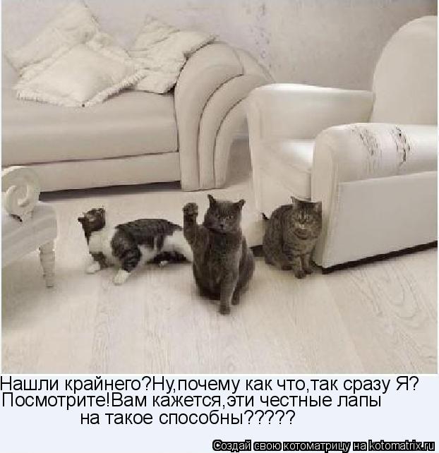 Котоматрица: Нашли крайнего?Ну,почему как что,так сразу Я? Посмотрите!Вам кажется,эти честные лапы  на такое способны?????