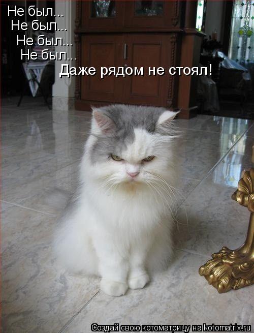Котоматрица: Не был... Не был... Не был... Не был... Даже рядом не стоял!