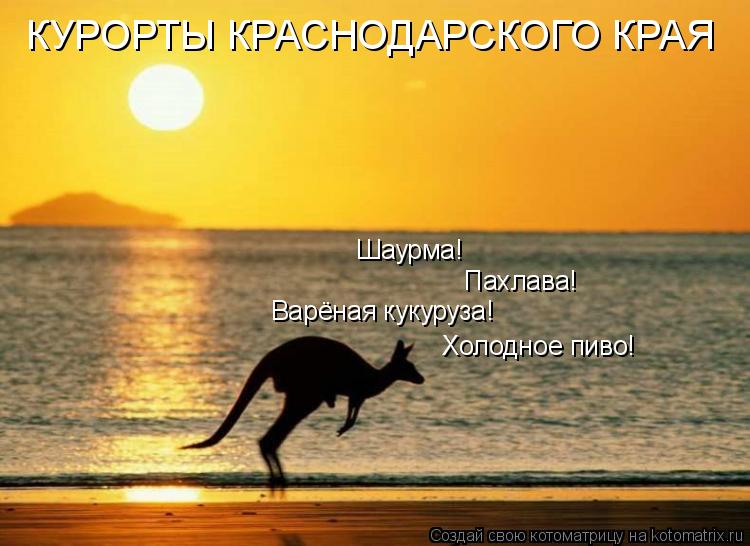 Шаурма! Пахлава! Варёная кукуруза! Холодное пиво! КУРОРТЫ КРАСНОДАРСКОГО КРАЯ... Котоматрица: Шаурма! Пахлава! Варёная кукуруза! Холодное пиво! КУРОРТЫ КРАСНОДАРСКОГО КРАЯ