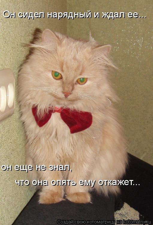 Котоматрица: Он сидел нарядный и ждал ее... он еще не знал, что она опять ему откажет... он еще не знал,  что она опять ему откажет...