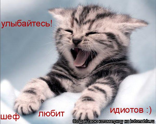 Котоматрица: улыбайтесь! шеф любит идиотов :)