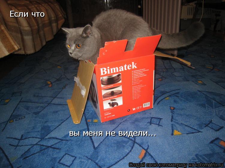 Котоматрица: Если что  вы меня не видели...