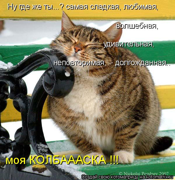 Котоматрица: Ну где же ты...? самая сладкая, любимая, моя КОЛБАААСКА !!! удивительная, волшебная, неповторимая,    долгожданная..