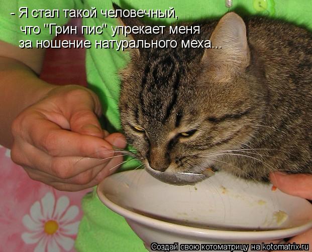 Котоматрица: - Я стал такой человечный, что "Грин пис" упрекает меня   за ношение натурального меха...
