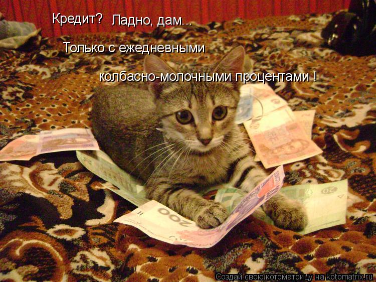 Котоматрица: Кредит?  Только с ежедневными  Ладно, дам... колбасно-молочными процентами !